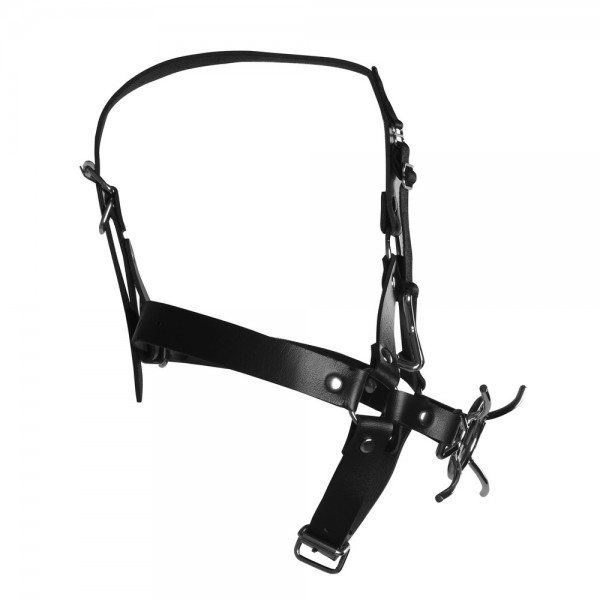 Ouch Xtreme Head Harness With Spider Gag And Nose Hooks (Shots Toys) by www.whimzieme.com