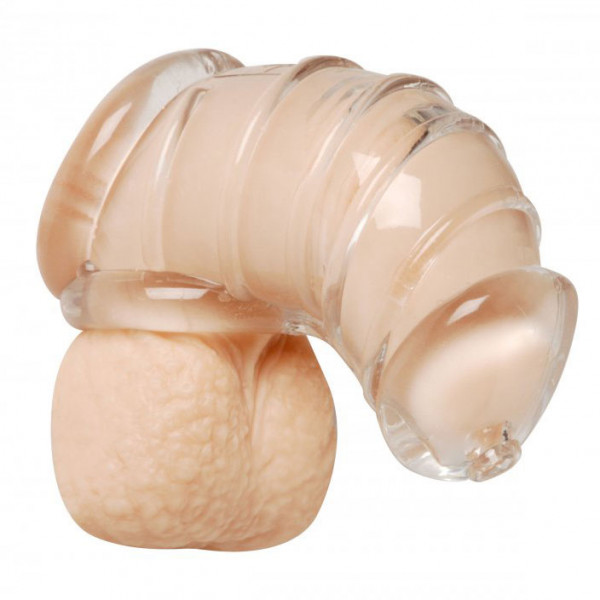Detained Soft Body Chastity Cage (Master Series) by www.whimzieme.com