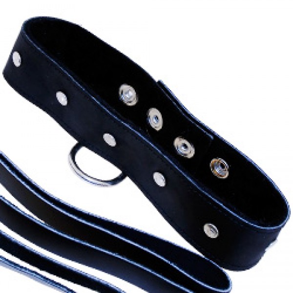 SportSheets Leather Leash And Collar (Sportsheets) by www.whimzieme.com